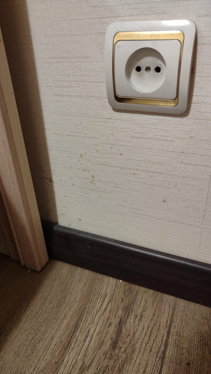 Гостиница Платан Краснодар-206