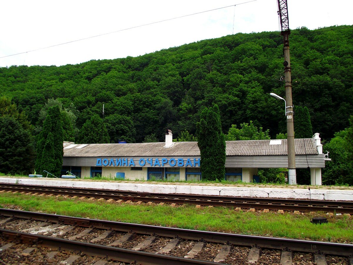 Гостиница Платан Краснодар-51