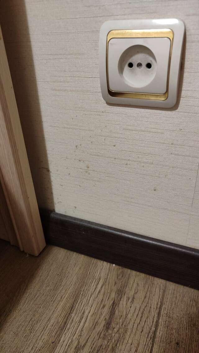 Гостиница Платан Краснодар-205