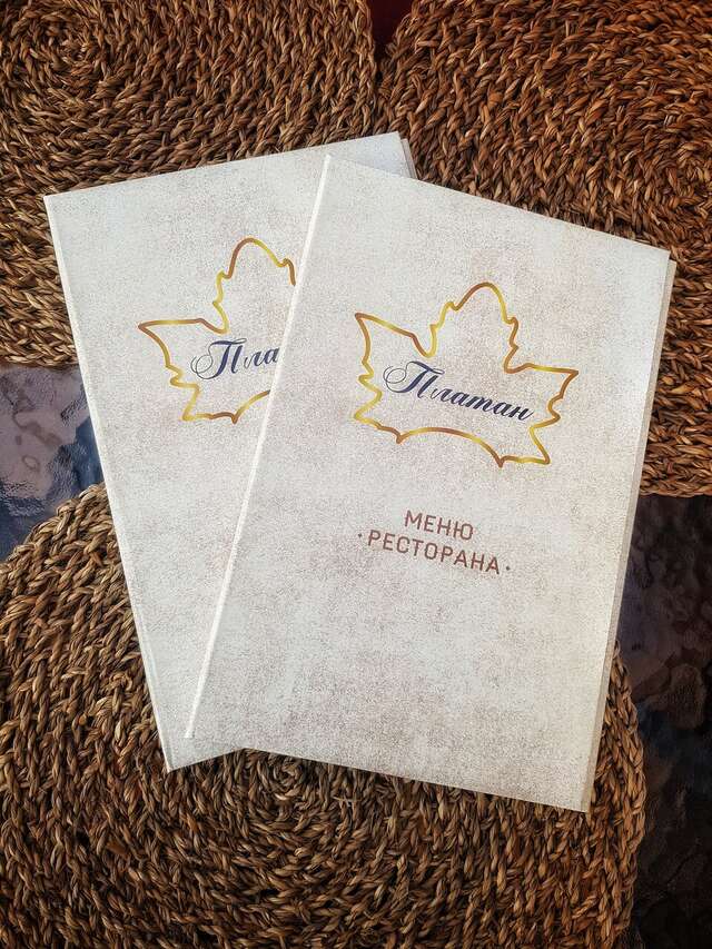 Гостиница Платан Краснодар-3