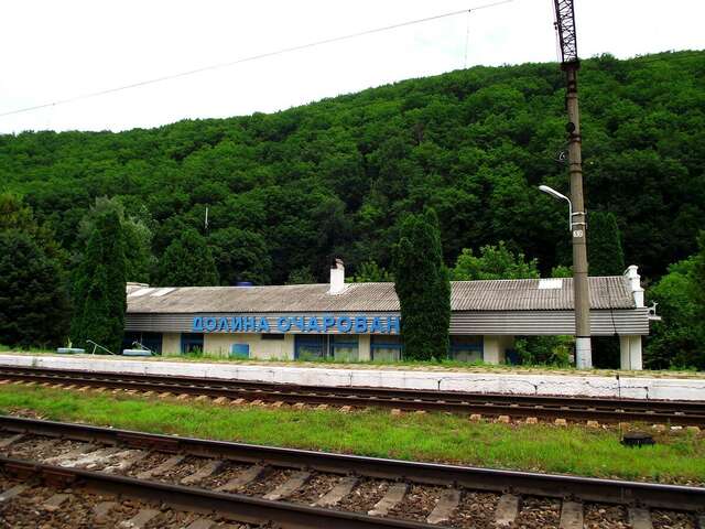 Гостиница Платан Краснодар-50